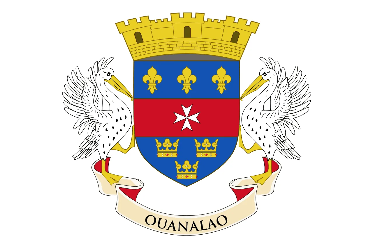 Saint Barthélemy flag