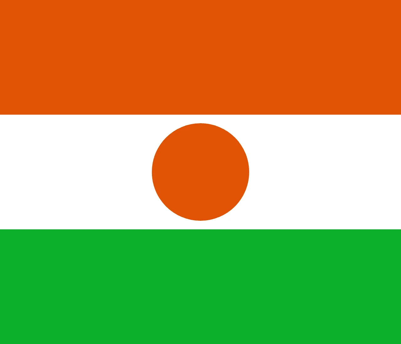 Niger flag